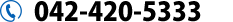 042-420-5333